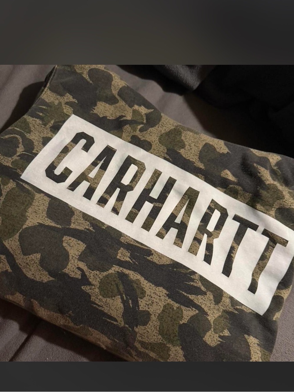 Carhartt Camo Logo hoodie